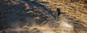 digital transformation insights